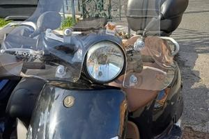 Scooter 125 SYM Fiddle