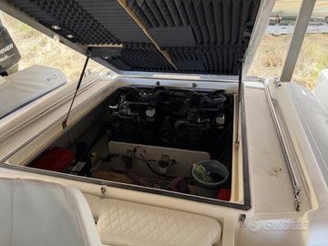 Mercruiser 3.0 136 cv
