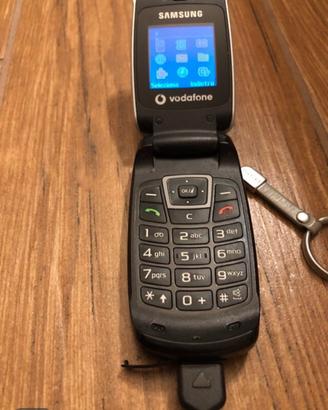 Cellulare samsung