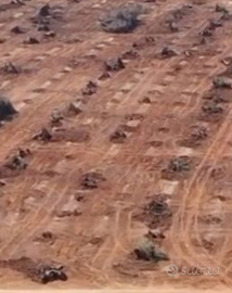 Terreno in Ruffano fronte strada asfaltata