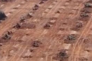 Terreno in Ruffano fronte strada asfaltata