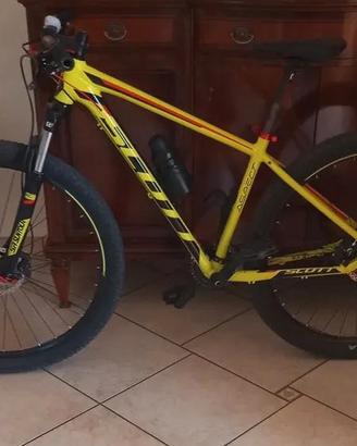 Bici Scott