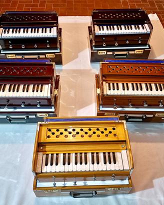 Harmonium Indiano