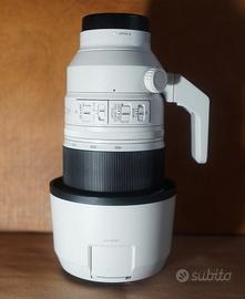 Sony FE 100-400mm f/4.5-5.6 GM OSS