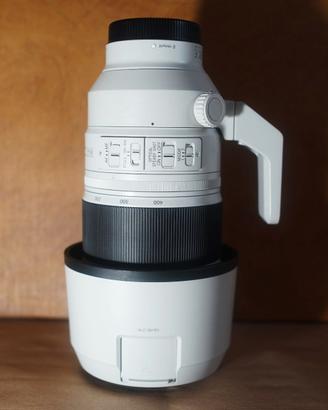 Sony FE 100-400mm f/4.5-5.6 GM OSS