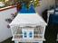 Immagine 5