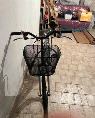 Bicicletta