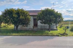 Vendita casa singola con terreno zona Cannella