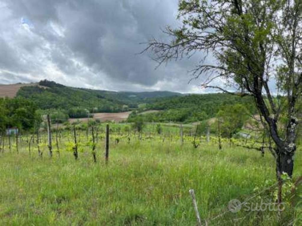 Immobile in asta di 10430 m² a San Venanzo - Vista 4