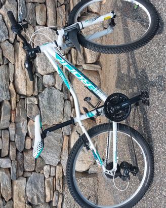 MTB misura 24