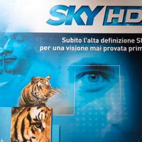DECODER SATELLITARE SKY HD - TELECOMANDO SKY HD
