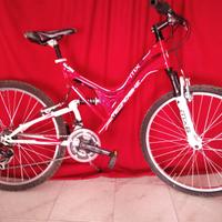 Bicicletta MTB TecnoBike 26