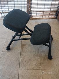 Seggiola ergonomica (IKEA eifred)