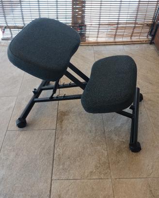 Seggiola ergonomica (IKEA eifred)