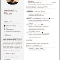 Banconista, caffetteria, gelateria