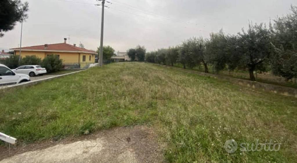 Immobile in asta di 6961 m² a Notaresco - Vista 4