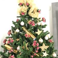 Albero di Natale
