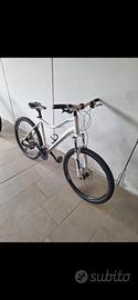 Bici donna