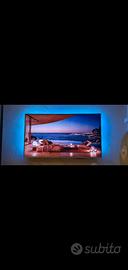 TV 55" Philips color argento come nuova