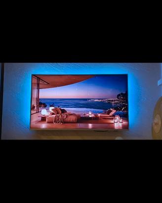 TV 55" Philips color argento come nuova