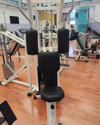 ROWING TORSO (DELTOIDI POSTERIORI) TECHNOGYM