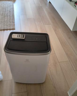 Condizionatore Portatile Electrolux
