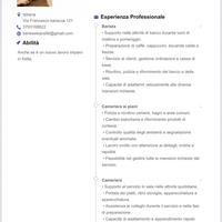 Cameriera ai piani/cameriera/muratore