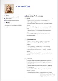 Cameriera ai piani/cameriera/muratore