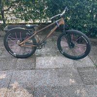 bici da dirt rose