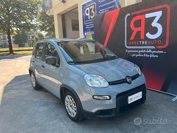 FIAT PANDA 1.0 FIREFLY HYBRID 69CV 5 POSTI
