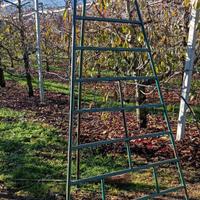 Scala treppiedi h=3.5mt