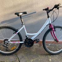 bici 24'