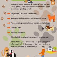 Asilo, Pensione, Pet Sitting, Dog Sitter