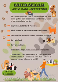 Asilo, Pensione, Pet Sitting, Dog Sitter