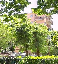 Appartamento di 118 m² con più di 5 locali e box a