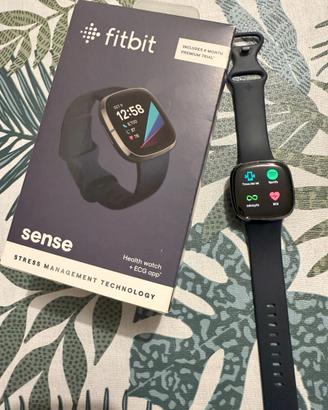 Smartwatch Fitbit Sense