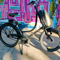 cargo bike elettrica