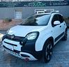 fiat-panda-cross-1-0-hybrid-5-posti-full-2024