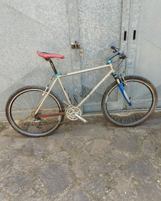 bici mtb