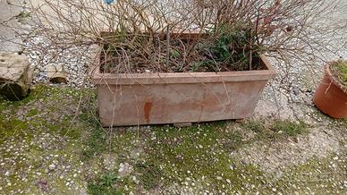 vaso terracotta fioriera grande cotto chiti