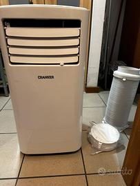 Condizionatore portatile (pinguino)