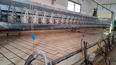 Stallo di avanzamento