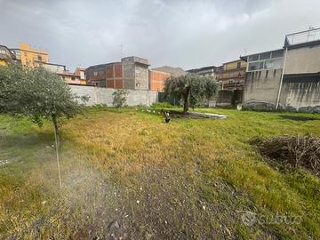 Terreno edificabile lineri