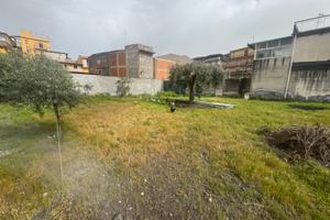 Terreno edificabile lineri