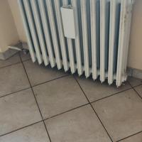 Termosifoni in ghisa