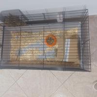Gabbietta per coniglio o roditori
