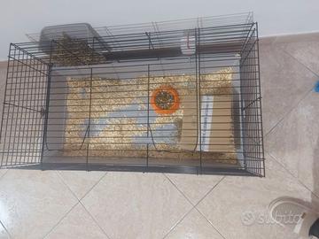 Gabbietta per coniglio o roditori