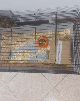 Gabbietta per coniglio o roditori