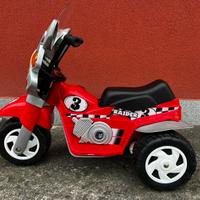 Triciclo Elettrico Rider