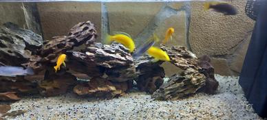 Acquario contatti su whats App